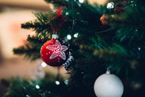 Kenapa Pohon Cemara Dipasang Setiap Natal? Yuk Simak Sejarahnya!