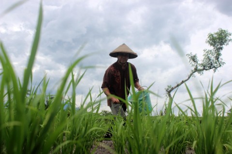 Foto: dok MI/Bagus Suryo.