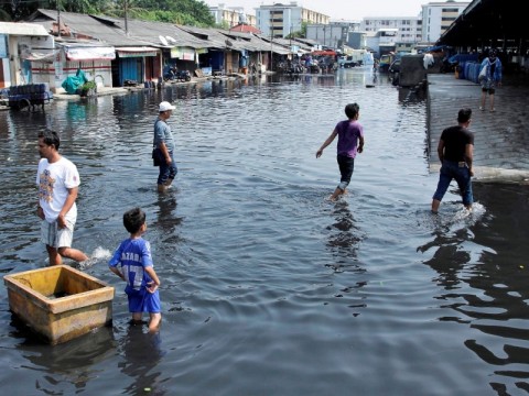 Ilustrasi--Banjir rob menggenangi kawasan Pasar Ikan Muara Baru, Jakarta Utara. (Foto: MI/Galih Pradipta)