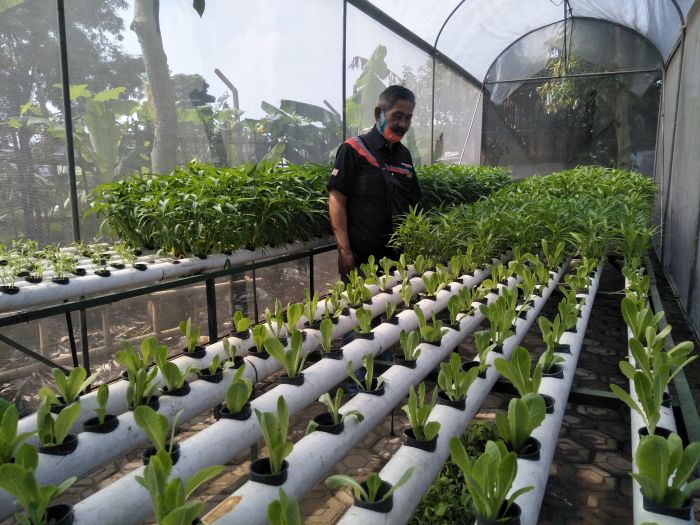 Kisah Sekelompok Warga Bandung Berhasil Terapkan Konsep Urban Farming