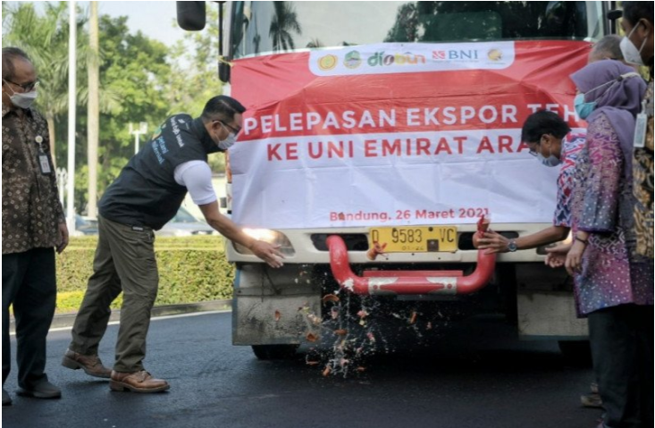 Gubernur Jawa Barat Ridwan Kamil melepas ekspor teh ke Uni Emirat Arab Foto: Humas Pemprov Jabar