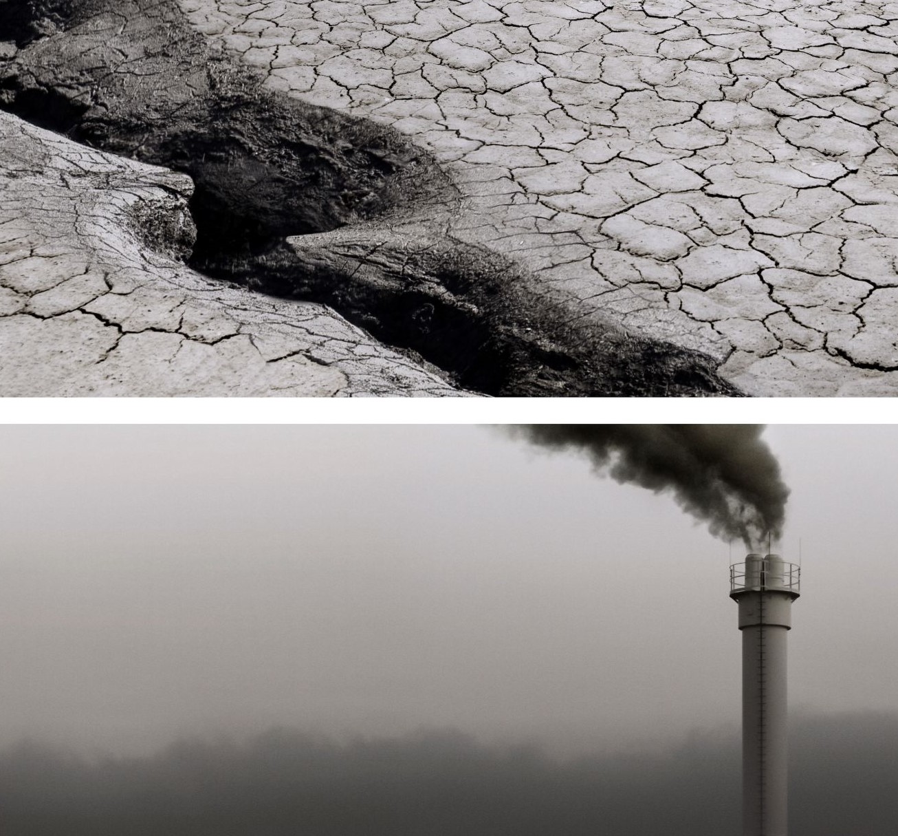 Potret Kampanye Lingkungan Hidup, Ingatkan Kondisi Bumi yang Kritis