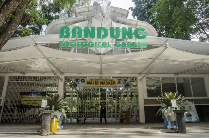 Kebun Binatang Bandung (Istimewa)