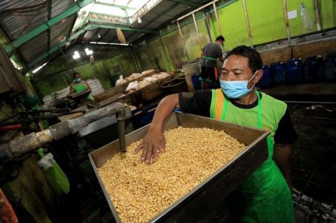 Harga Kedelai Meroket, Perajin Tahu Ancam Mogok Produksi