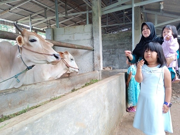 Pemkot Bogor Tambah Stok Daging Sapi untuk Hadapi Ramadan 2022