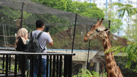 Kebun Binatang Bandung Terancam Disegel Pemerintah