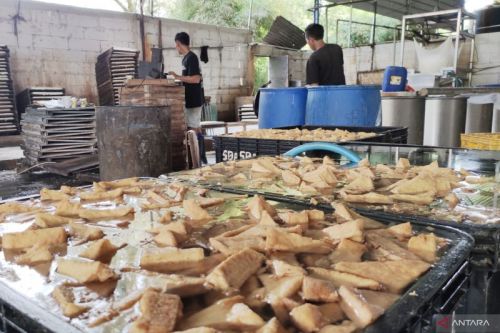 Pabrik tahu yang menggunakan bahan formalin di Desa Waru Kaum, Kecamatan Parung, Kabupaten Bogor, Jawa Barat, Jumat, 10 Juni 2022. ANTARA/M Fikri Setiawan