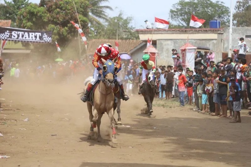 Sejumlah atlet memacu kudanya dalam pertandingan Pacuan Kuda Tahun 2022 yang diselenggarakan di lapangan Sentra Bhakti Cihuni, Desa Cimaragas, Kecamatan Pangatikan, Kabupaten Garut, Jawa Barat, Minggu (28/8/2022). (ANTARA/HO-Diskominfo Garut)