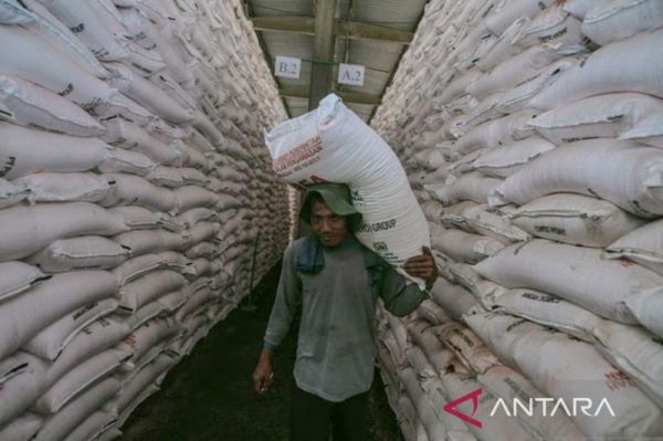 Ratusan Ribu Ton Pupuk Subsidi di Jabar Disalurkan