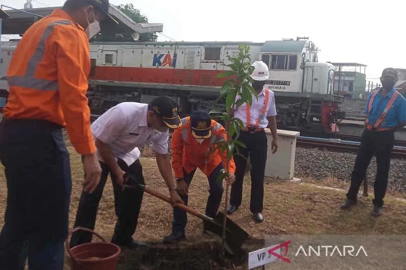 Penanaman pohon di lingkungan Stasiun Cirebon, Jawa Barat, Rabu (7/9/2022). ANTARA/Khaerul Izan