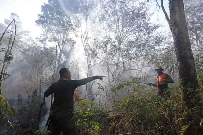 Petugas berusaha memadamkan kebakaran hutan dan lahan (karhutla) di Desa Cibuntu, Kecamatan Pesawahan, Kuningan, Jawa Barat, Senin (26/9/2022). Puluhan personel gabungan dari Balai Taman Nasional Gunung Ciremai (BTNGC), Masyarakat Peduli Api (MPA) dan per