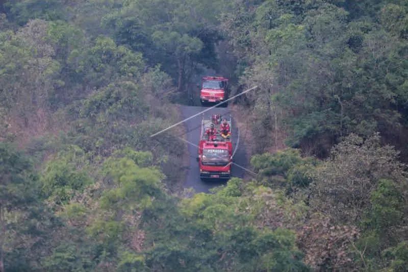 Kebakaran Hutan Gunung Ciremai Berhasil Dikendalikan