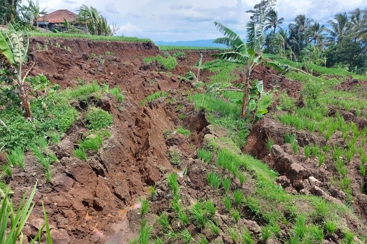 Sawah terdampak gempa bermagnitudo 5,6 di Desa Rawacina, Kecamatan Cianjur, Kabupaten Cianjur, Jawa Barat, Rabu (30/11/2022). (ANTARA/Andi Firdaus)