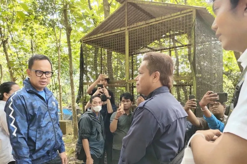 Wali Kota Bogor Bima Arya (kesatu dari kanan) saat meninjau Mini Zoo Bogor Folrest Hotel, Jumat (16/12/2022). ANTARA/Linna Susanti.