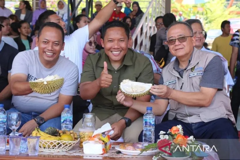 Wabup Sukabumi Iyos Somantri (paling kanan) bersama unsur Forkopimda Kabupaten Sukabumi menunjukan salah satu varietas durian unggulan Sukabumi. Antara/Aditya Rohman