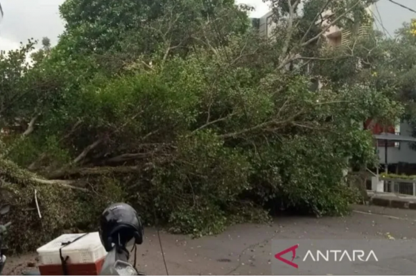 Cuaca Buruk Tiba, Petugas BPBD Cianjur Update Kondisi Lapangan Tiap 8 Jam