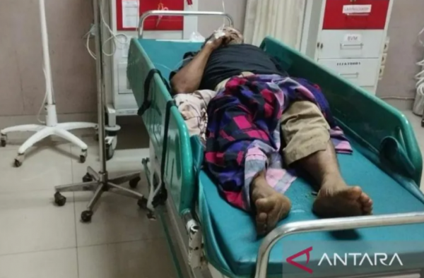 Suami-Istri di Sukabumi Tertimpa Pohon Kelapa, Satu Meninggal