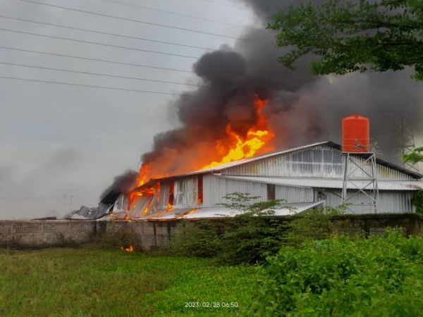 Pabrik di Cirebon Dilaporkan Habis Terbakar