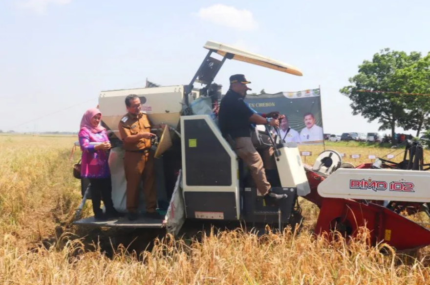 Pemkab Cirebon Minta Bantuan Pusat Atasi Banjir Genangi Lahan Pertanian