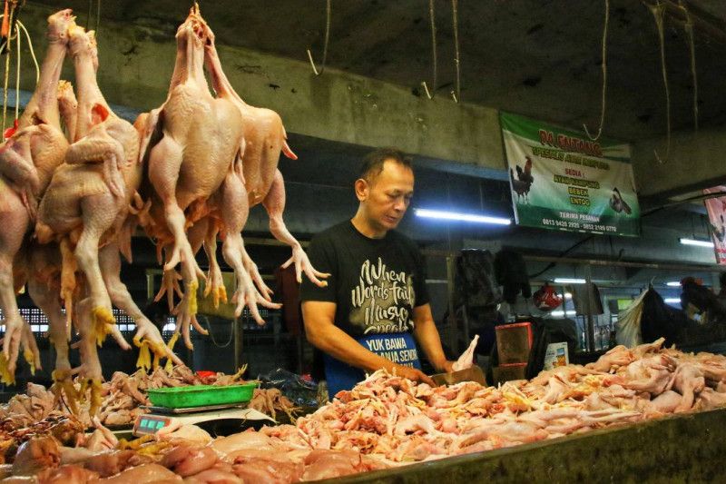 Pedagang ayam potong tengah melakukan aktivitas di salah satu pasar di Kota Bandung. Antara/ Istimewa