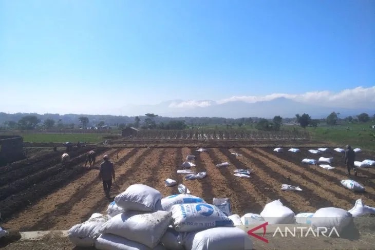 Sejumlah petani mengolah lahan pertanian di Kecamatan Samarang, Kabupaten Garut, Jawa Barat. (ANTARA/Feri Purnama)