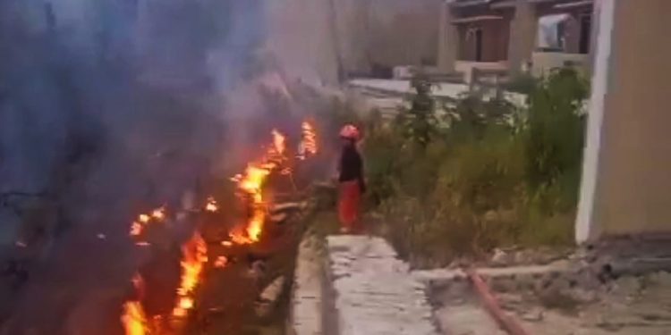 Kebakaran lahan dekat Perumahan Royal Greenland, Desa Rangkasbitung Timur, Kecamatan Rangkasbitung.