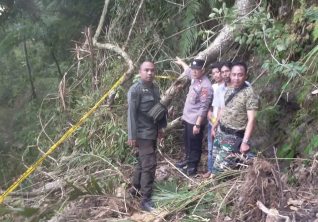 Polisi mengecek lokasi warga yang tertimpa pohon di hutan Kecamatan Peundeuy, Kabupaten Garut, Jawa Barat, (ANTARA/HO-Polres Garut)