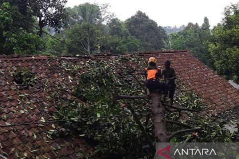 Satu rumah warga di Kampung Pasir Muncang, Desa Kalaparea, Kecamatan Nagrak rusak setelah tanah longsor. Antara/Aditya Rohman